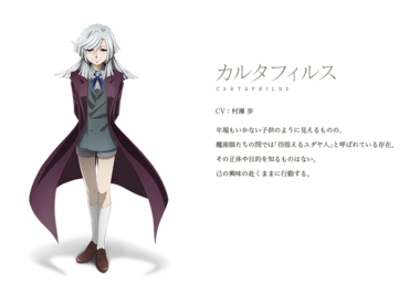 魔法使いの嫁