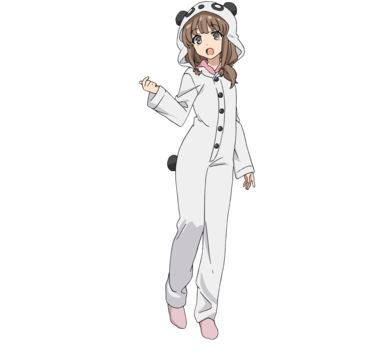 青春ブタ野郎はバニーガール先輩の夢を見ない