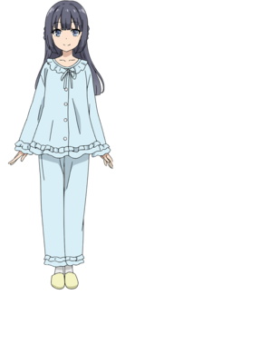 青春ブタ野郎はゆめみる少女の夢を見ない