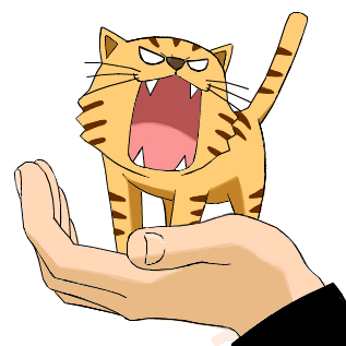 とらドラ!