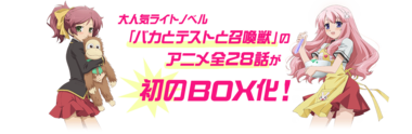 バカとテストと召喚